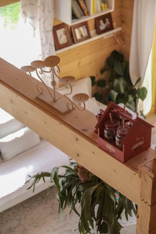 Chalet Kolasin Montenegro エクステリア 写真
